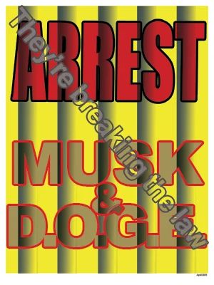 Arrest Musk & DOGE